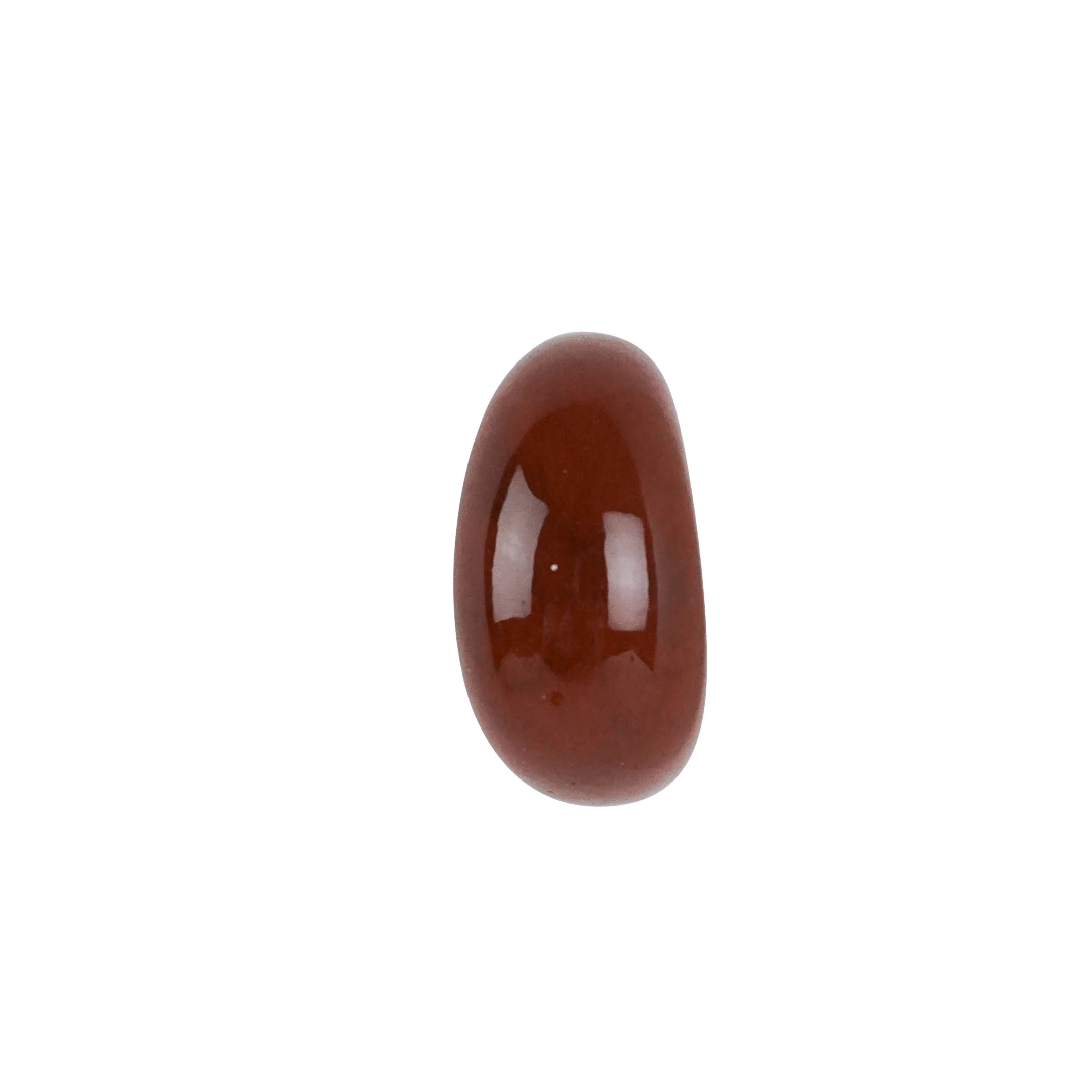 Shashi Java Hoop Earrings in Tort Lucite - Image 4